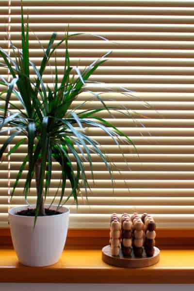 Louvered window blinds with a potted plant on a wooden surface.